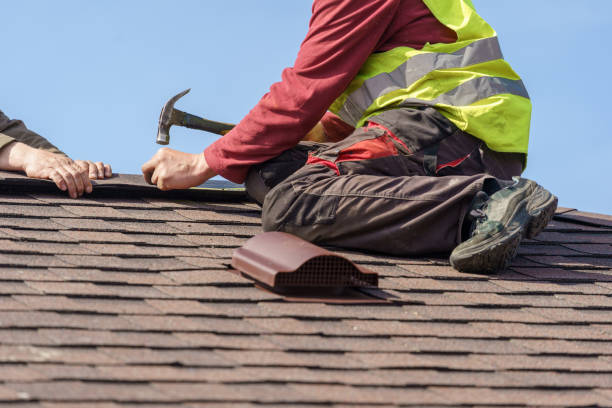 Best Roof Gutter Cleaning  in Point Venture, TX