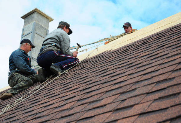 Professional Roofing Contractor in Point Venture, TX
