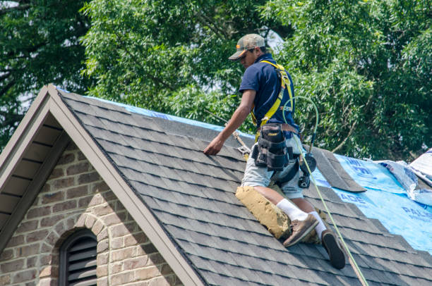 Best Residential Roof Replacement  in Point Venture, TX